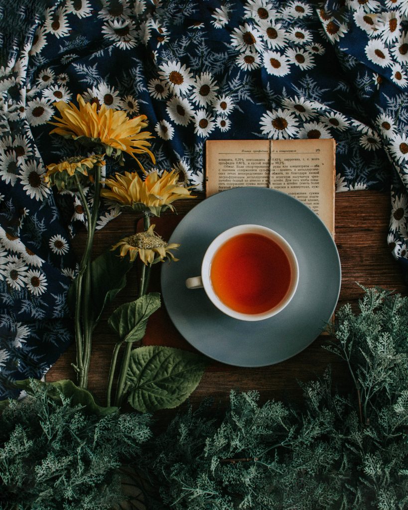 Rooibos : quels sont les bienfaits ?