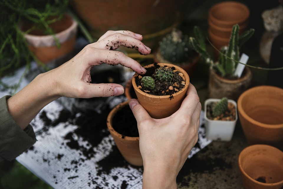 Quelles sont les vertus du jardinage pour se ressourcer ?